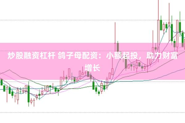 炒股融资杠杆 鸽子母配资：小额起投，助力财富增长